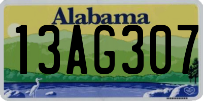 AL license plate 13AG307