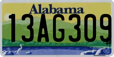 AL license plate 13AG309