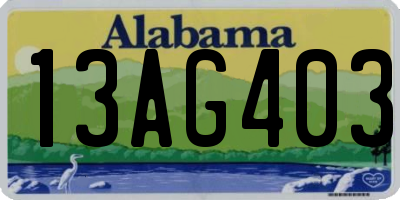 AL license plate 13AG403