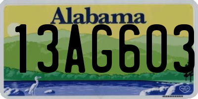 AL license plate 13AG603