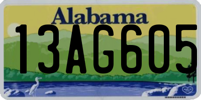 AL license plate 13AG605