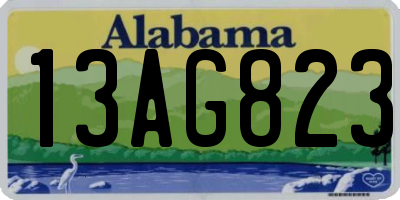 AL license plate 13AG823