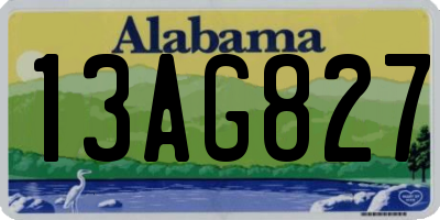 AL license plate 13AG827