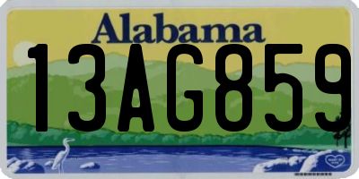 AL license plate 13AG859