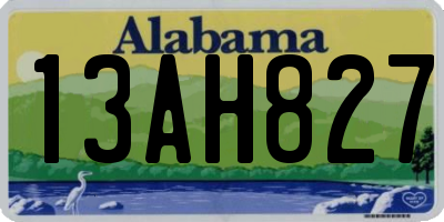AL license plate 13AH827