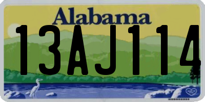 AL license plate 13AJ114
