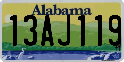 AL license plate 13AJ119