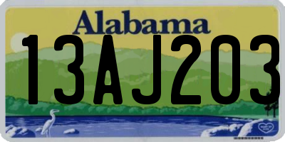 AL license plate 13AJ203