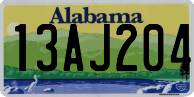 AL license plate 13AJ204