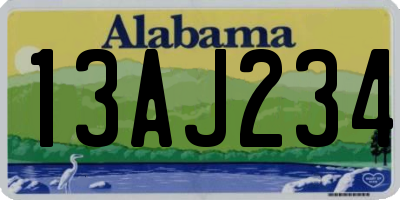 AL license plate 13AJ234