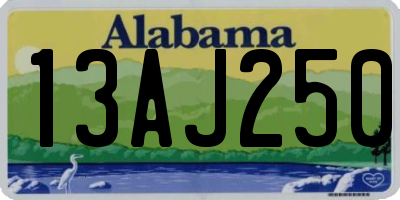 AL license plate 13AJ250