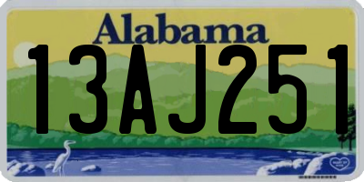 AL license plate 13AJ251