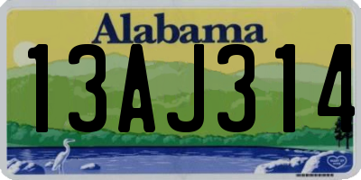 AL license plate 13AJ314