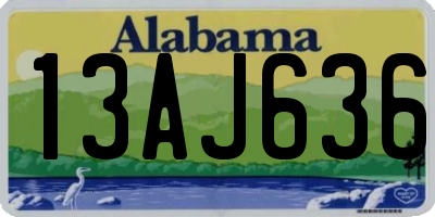 AL license plate 13AJ636