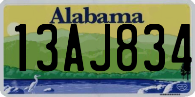 AL license plate 13AJ834