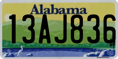 AL license plate 13AJ836