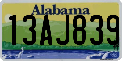 AL license plate 13AJ839
