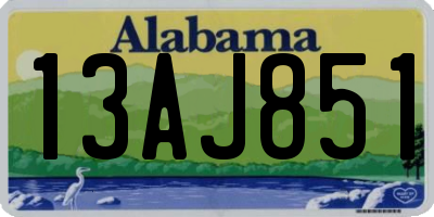 AL license plate 13AJ851