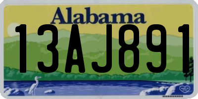 AL license plate 13AJ891