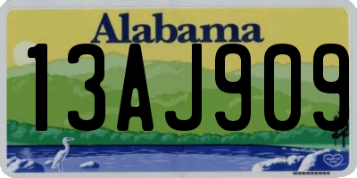 AL license plate 13AJ909