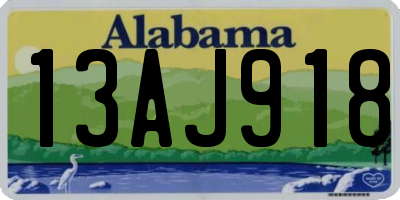 AL license plate 13AJ918