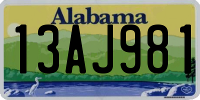AL license plate 13AJ981