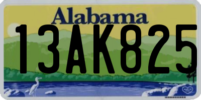 AL license plate 13AK825