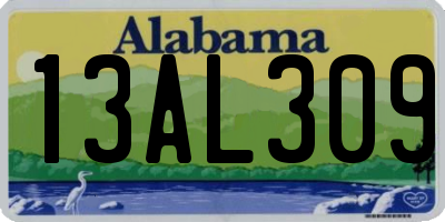 AL license plate 13AL309