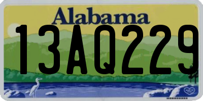 AL license plate 13AQ229