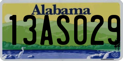 AL license plate 13AS029