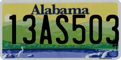 AL license plate 13AS503
