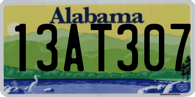 AL license plate 13AT307