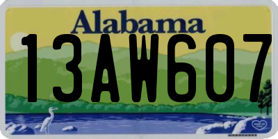AL license plate 13AW607