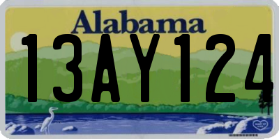 AL license plate 13AY124
