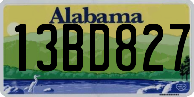 AL license plate 13BD827