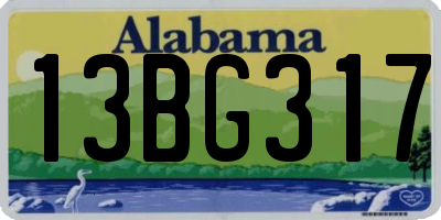 AL license plate 13BG317