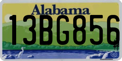 AL license plate 13BG856