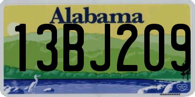 AL license plate 13BJ209