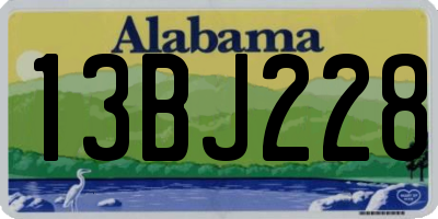 AL license plate 13BJ228
