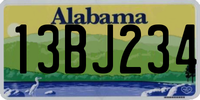 AL license plate 13BJ234