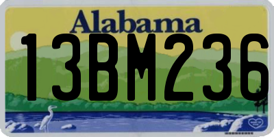 AL license plate 13BM236