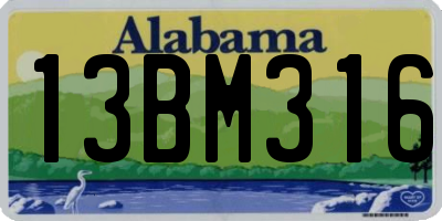 AL license plate 13BM316