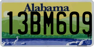 AL license plate 13BM609