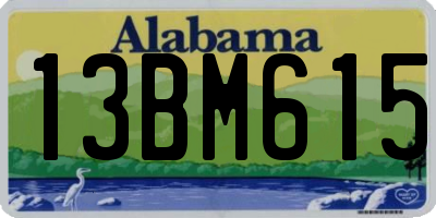 AL license plate 13BM615