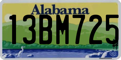 AL license plate 13BM725