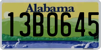 AL license plate 13BO645