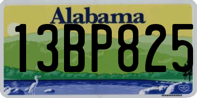 AL license plate 13BP825