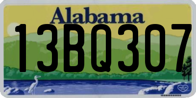 AL license plate 13BQ307
