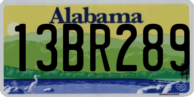 AL license plate 13BR289