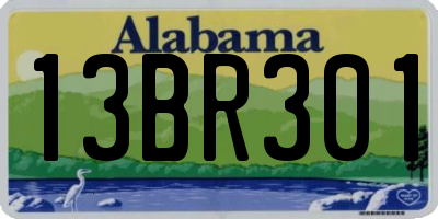 AL license plate 13BR301